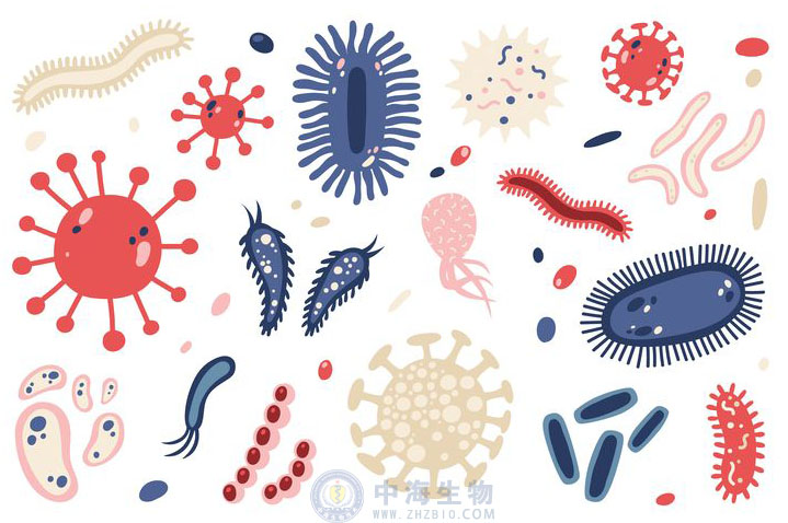 微生物是什么？哪些營(yíng)養(yǎng)物質(zhì)促進(jìn)微生物生長(zhǎng)繁殖？